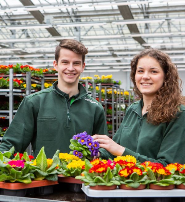 Ausbildung